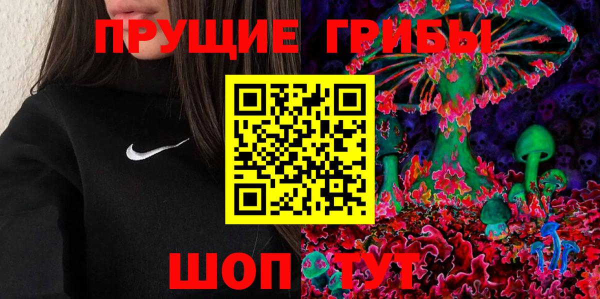 Псилоцибиновые грибы Psilocybe Кстово
