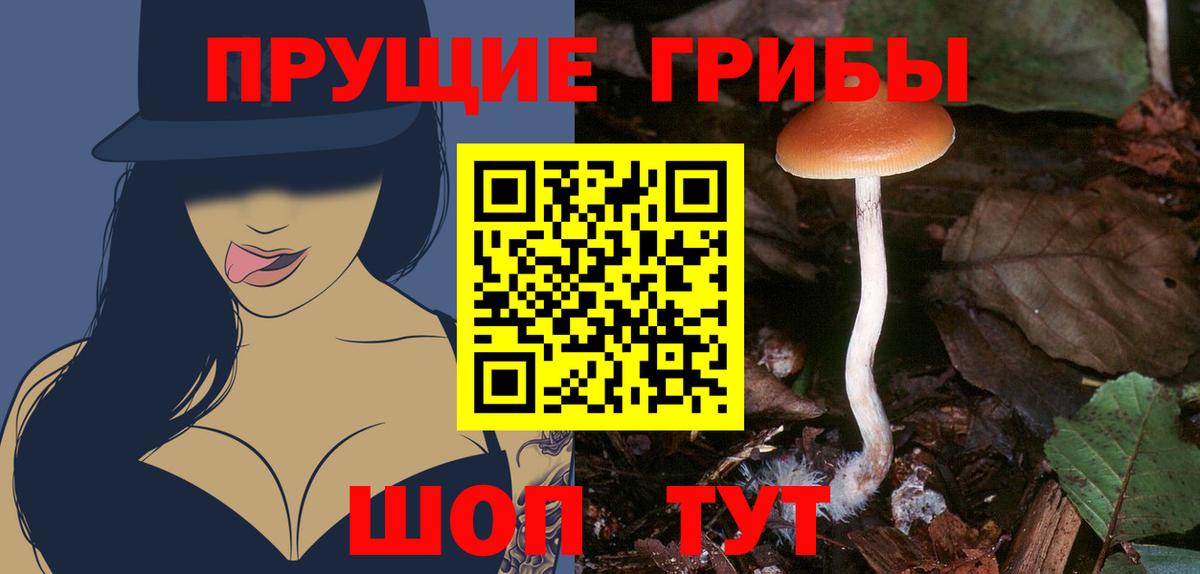 Галлюциногенные грибы ЛСД  Вход с VPN  Кстово 